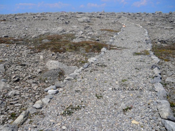 Stone paths leading to the lighthouse.