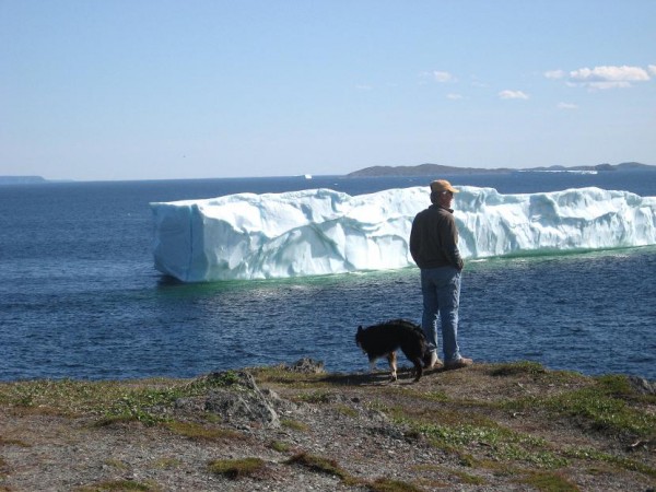 A good spot to see icebergs!