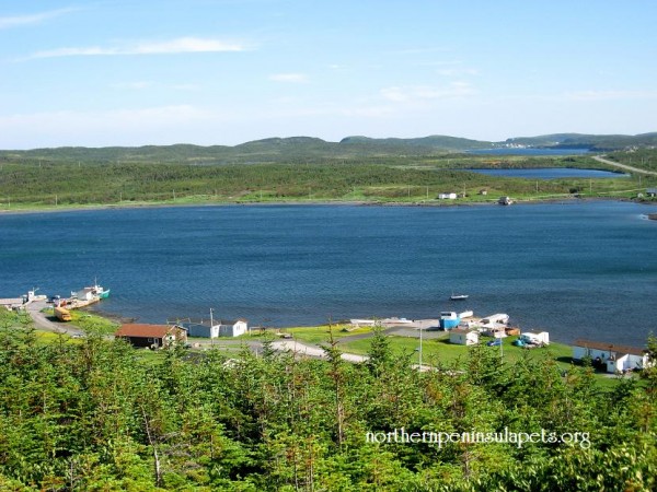 View on Noddy Bay wharf