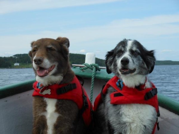 Sydney and Charlie love Hopes boat.